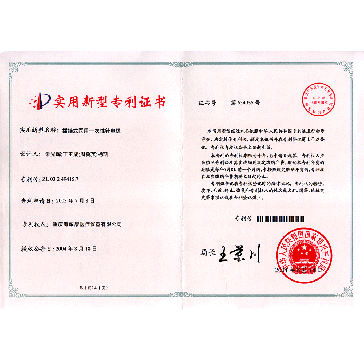 针电极（实用新型专利）